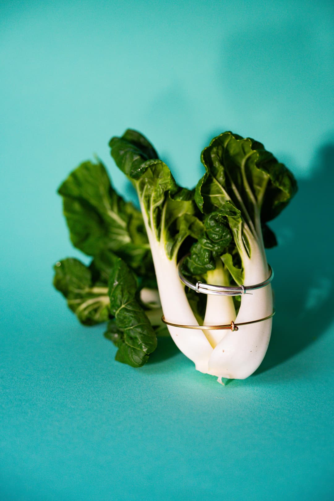 Studio Lab, agence créative de bordeaux, projet de : Les ateliers d'Aliénor