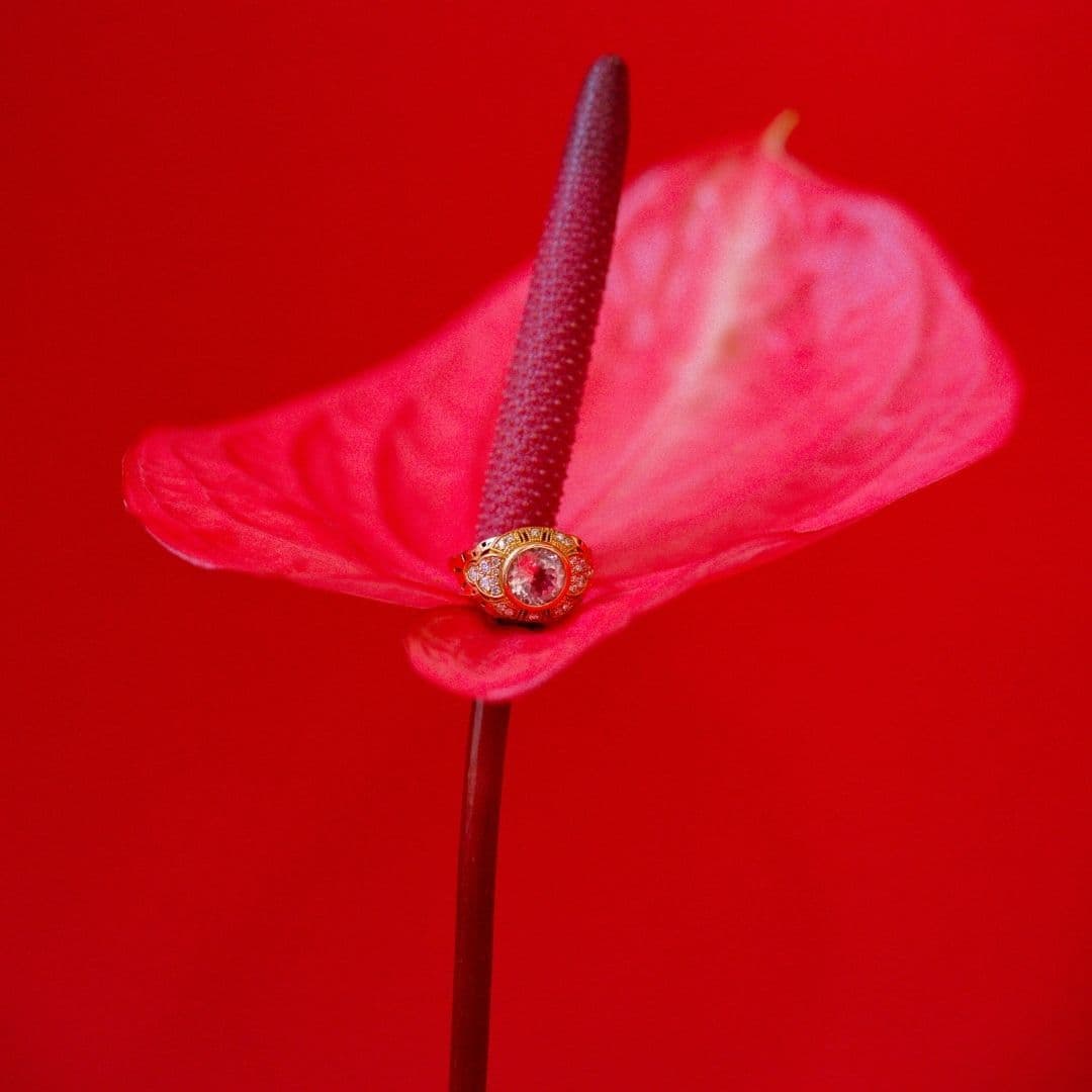 Image des réseaux sociaux : Les ateliers d'Aliénor