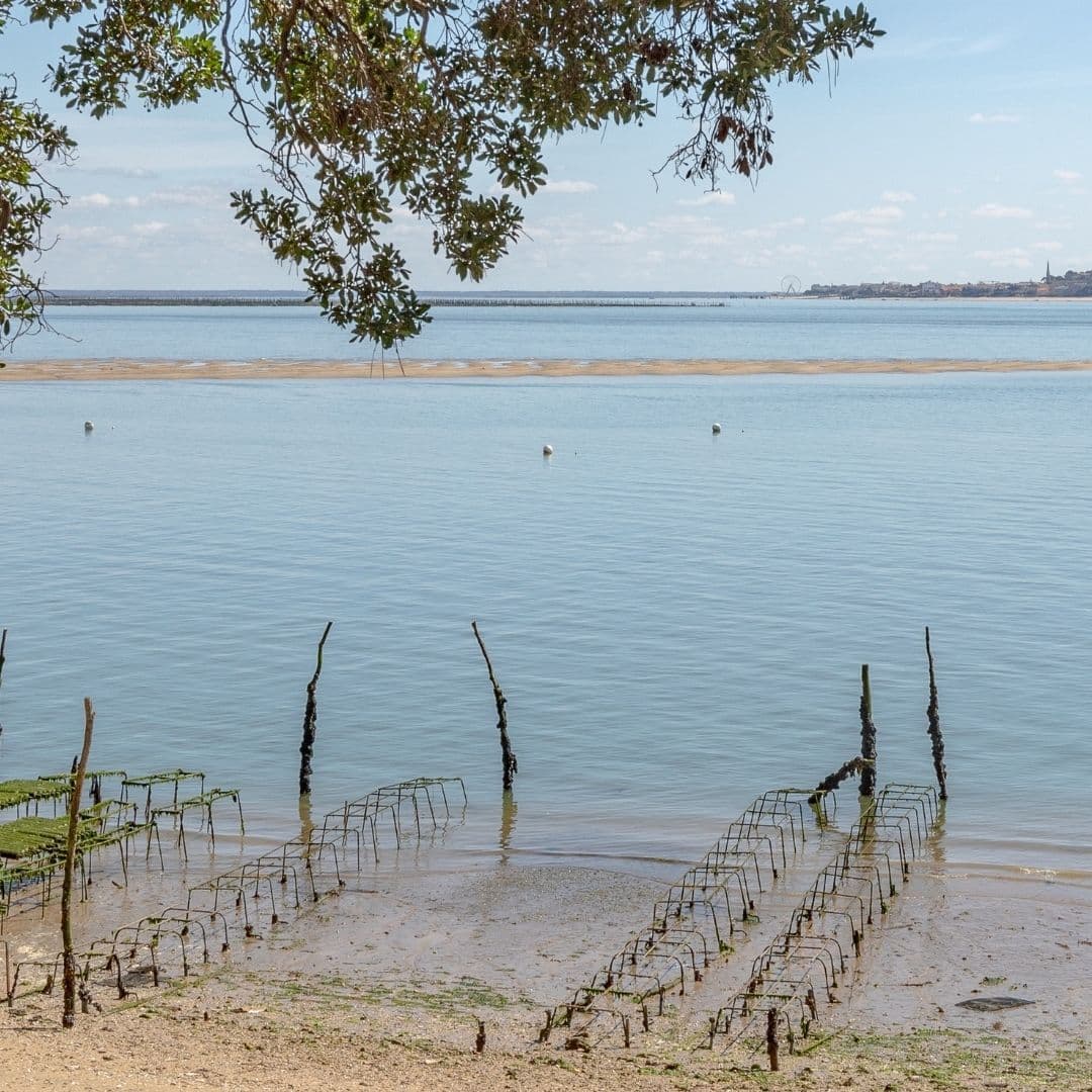 Image des réseaux sociaux : Agence Première Ligne