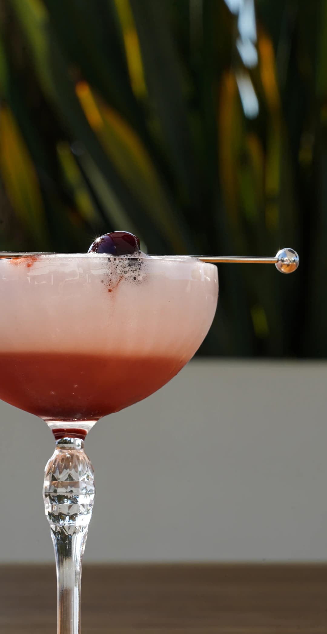 Studio Lab, agence créative de bordeaux, projet de : Le Jardin de la Paillote Bleue